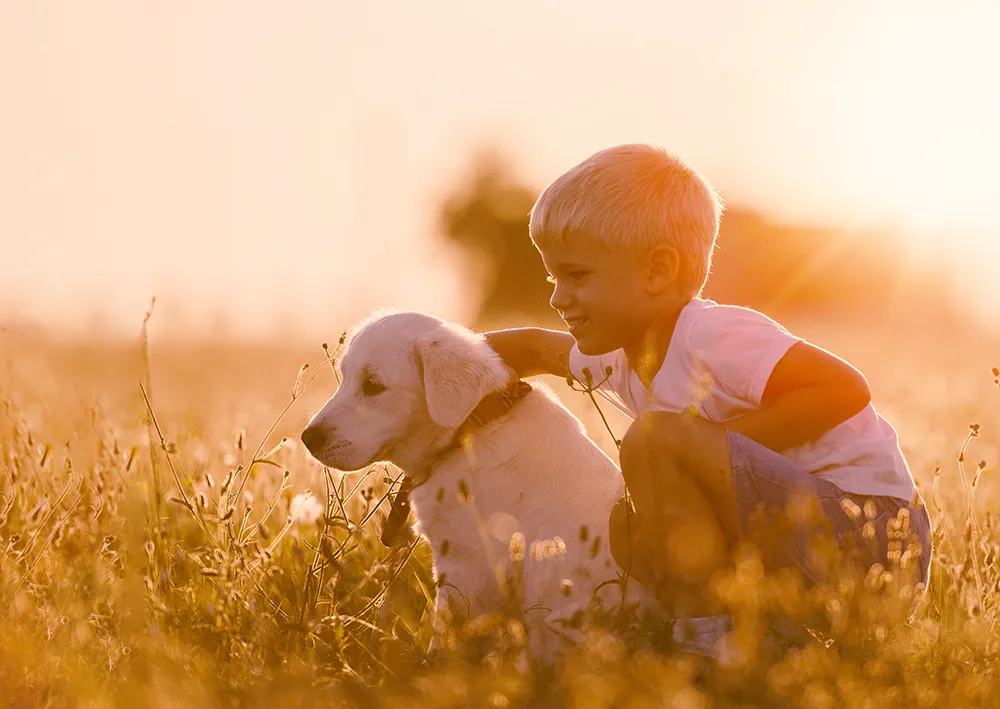 dog boy